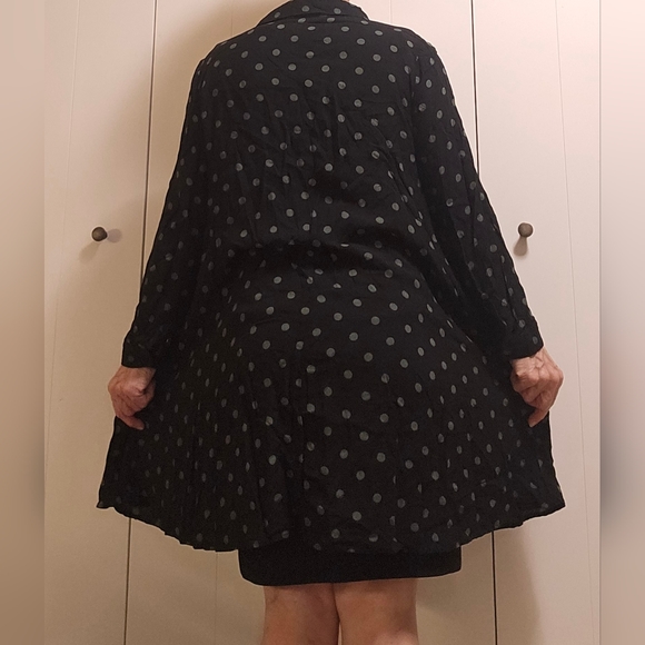 Zara spotted dress - Picture 2 of 6